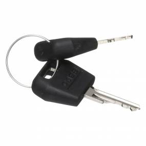 Zündschlüssel (1964831C2) Case