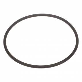 O-Ring (47447771) Case