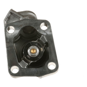 Thermostat (504209127) Case