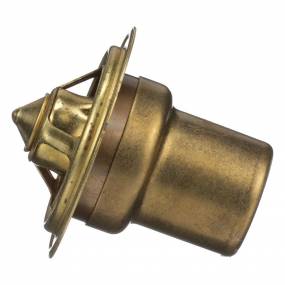 Thermostat (387533R91) Case