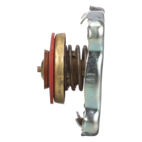 Kühlerverschlussdeck (47762055) Case