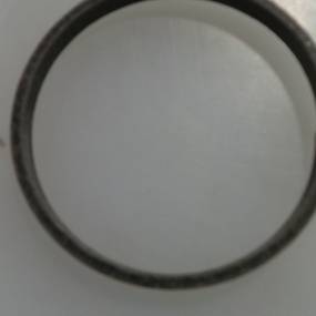 Ring (387374R1) Case