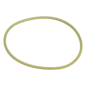 O-Ring (84288754) Case