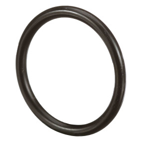 O-Ring (87597284) Case