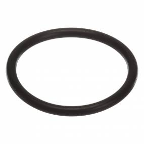 O-Ring (235757) Case