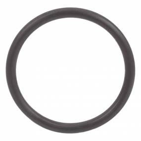O-Ring (256633A1) Case