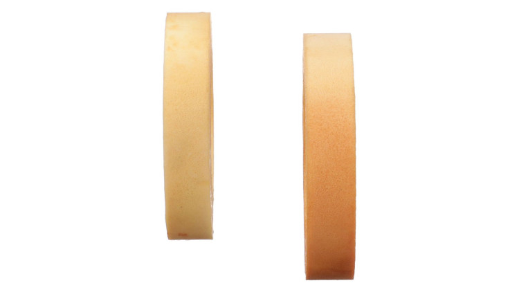 Dichtring (3131386R1) Case