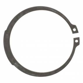 Ring (87708873) Case