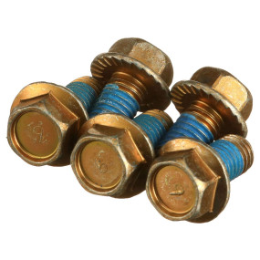 Schraube mit Flansch (1302143C1) Case