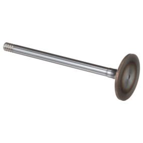 Einlassventil, Stand (87802256)  Case