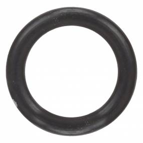 O-Ring (87584290) Case