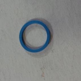 Ring (388591R1) Case