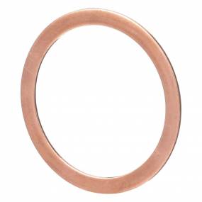 Dichtung, Flach (356799R1) Case