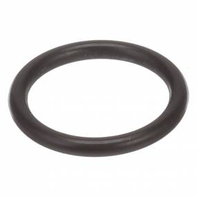 O-Ring (84313724) Case