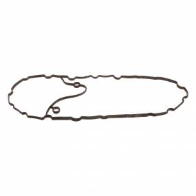 Dichtung, Flach (500382999) Case