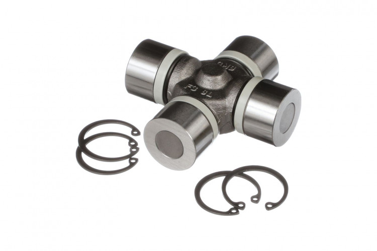 Zapfenkreuz (5191482) Case