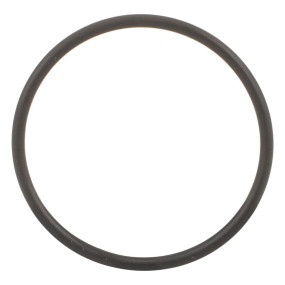 O-Ring (87016962)  Case