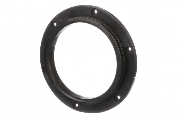 Ring (87472745) Case