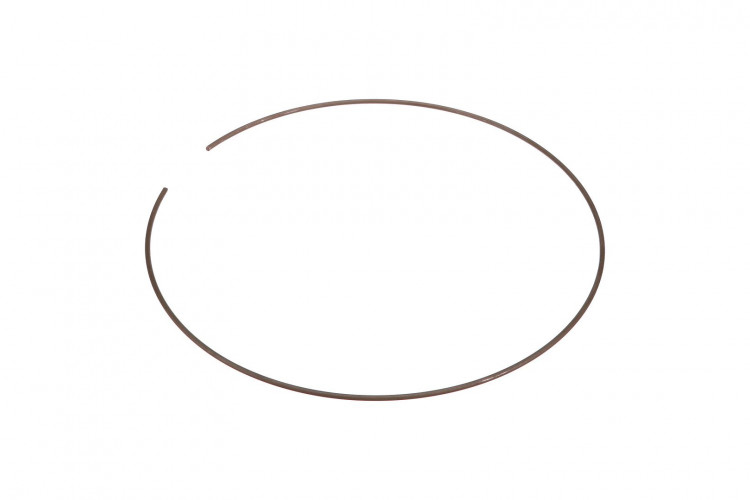 Ring (87553899) Case