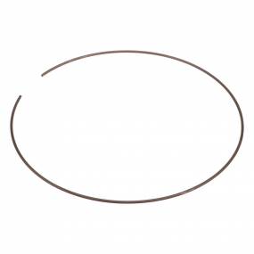 Ring (87553899) Case