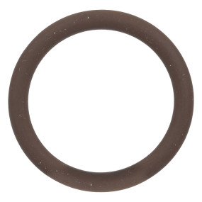 O-Ring (87271159) Case