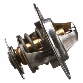 Thermostat (3059676R92)  Case