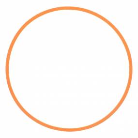 Dichtring (281408A1) Case