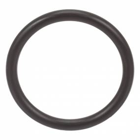 O-Ring (17278390) Case