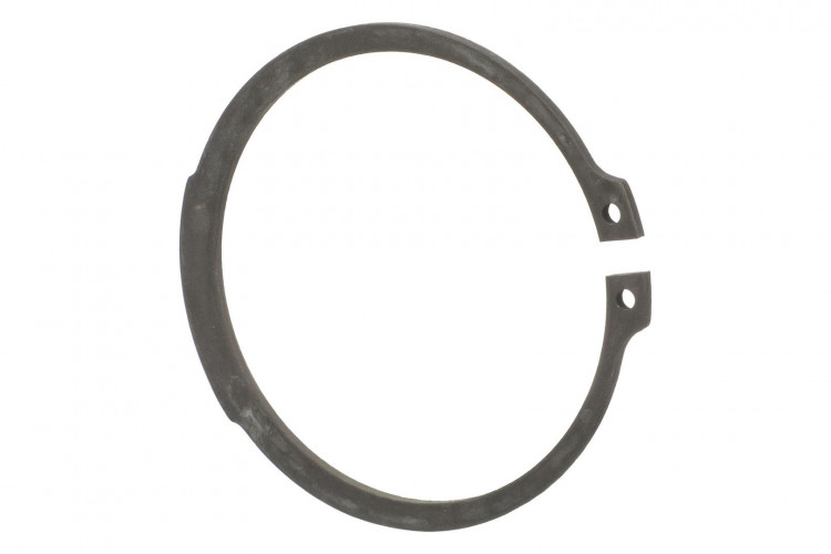 Ring (87708873) Case