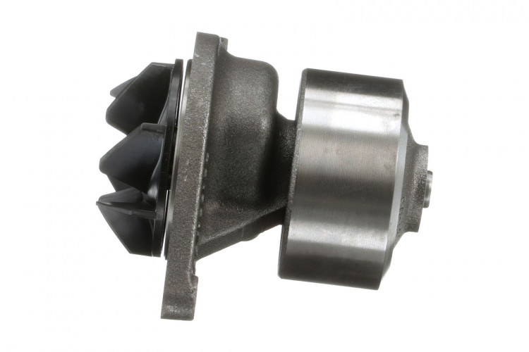 Wasserpumpe (504062854) Case