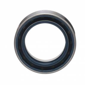 Dichtung (5177709) Case