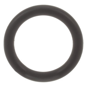 O-Ring (86993475) Case