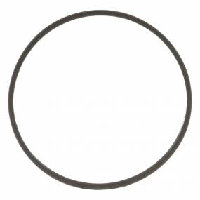 Dichtung (407387A1) Case