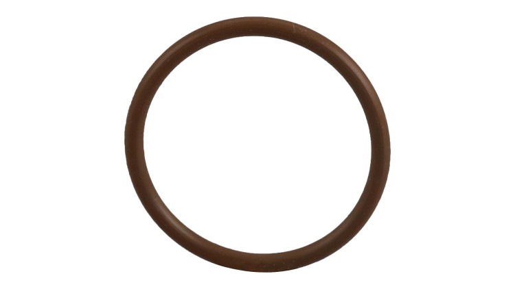 O-Ring (87014033) Case