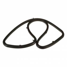 Dichtung (5801464912) Case