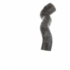 Kuehlerschlauch (87677759) Case