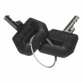 Zündschlüssel (1964831C2) Case