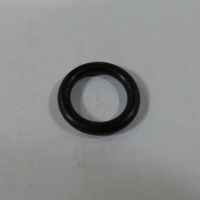 Ring (353836R1) Case