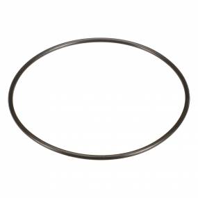 O-Ring (362574A1) Case