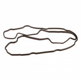 Dichtung, Flach (504070040) Case