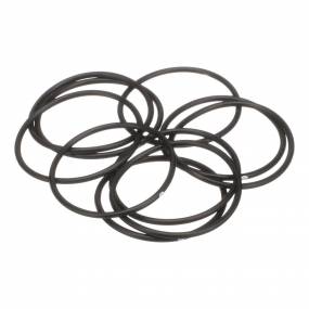 O-Ring (579359) Case