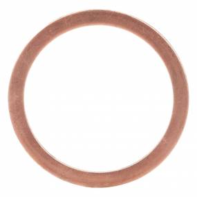 Dichtung, Flach (356799R1) Case