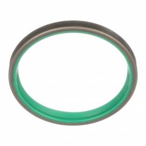 Abstreifdichtung (D95148) Case