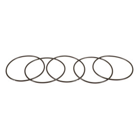 O-Ring (87016953)  Case