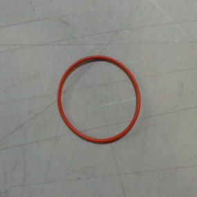 O-Ring (J883284)  Case