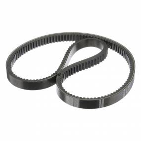 Keilriemen (1541569C1) Case