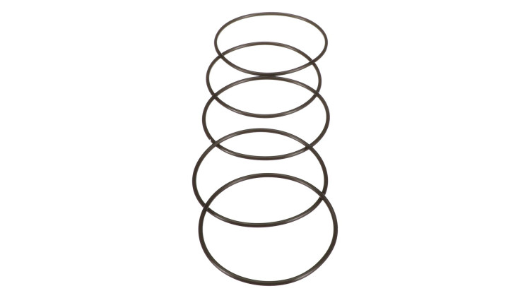 O-Ring (87016953) Case