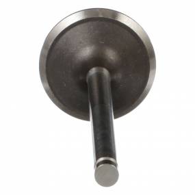 Auslassventil, Stand (4895188) Case