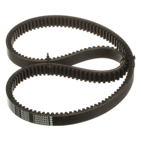 V-Belt (599060R1) Case