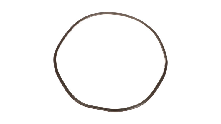 Dichtung (84258218) Case